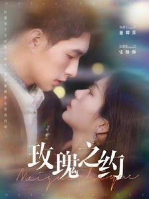 玫瑰之约（95集）