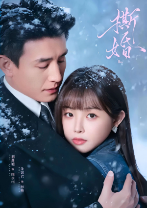 撕婚（23集全）