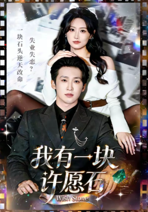 我有一块许愿石（80集）