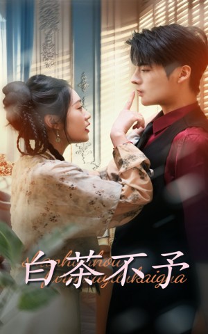 白茶不予（68集）