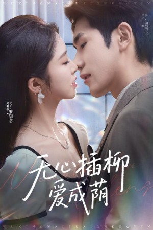 无心插柳爱成荫(50集)