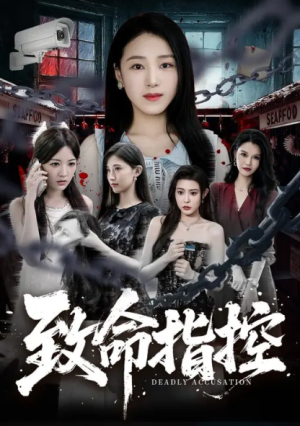 致命指控（65集）