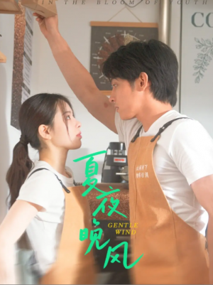 夏夜晚风(12集)