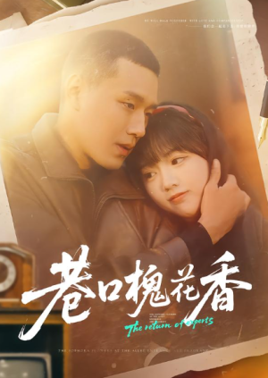 巷口槐花香（65集）