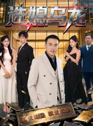 选媳乌龙（80集）