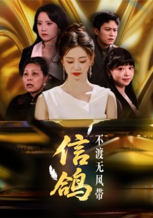 信鸽不渡无风带(65集)