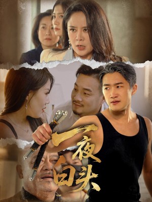 一夜白头（32集）