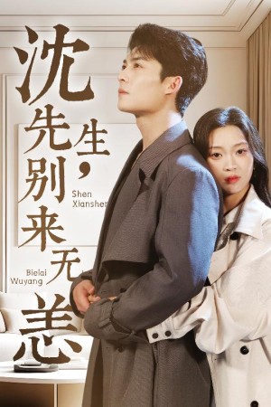 沈先生别来无恙（沈先生，别来无恙）（60集）