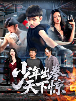 少年出拳天下惊(60集)