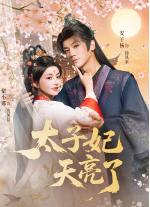 太子妃天亮了（80集）