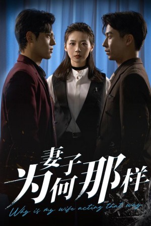 妻子为何那样(60集)