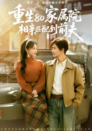 重生80家属院相亲匹配到前夫（77集）