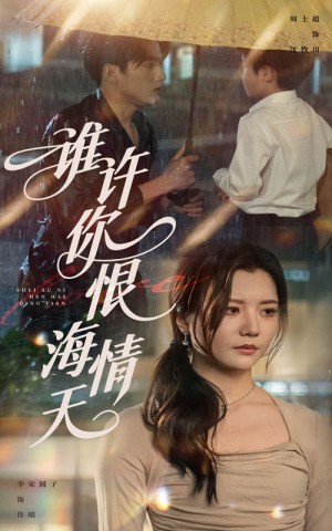 谁许你恨海情天（50集）