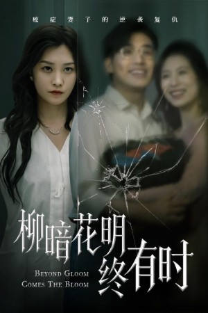 柳暗花明终有时(50集)