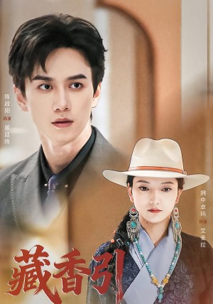 藏香引（63集）