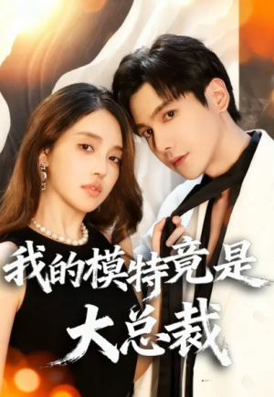 我的模特竟是大总裁（27集）