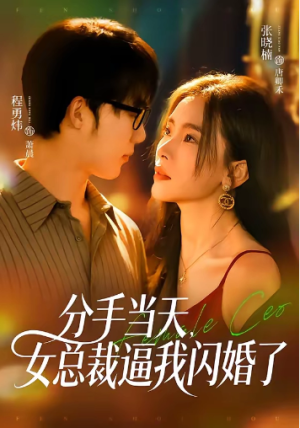 分手当天女总裁逼我闪婚了（72集）