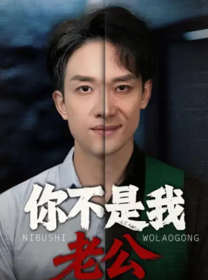 你不是我老公（35集）