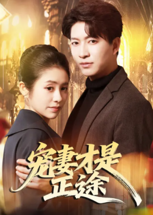 宠妻才是正途（83集）