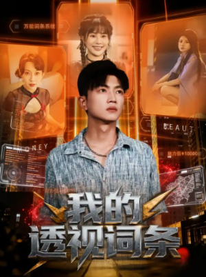 我的透视词条（80集）