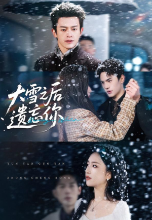 大雪之后遗忘你（82集）