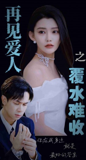 再见爱人之覆水难收（30集）