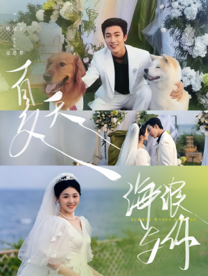 夏天海浪与你(76集)