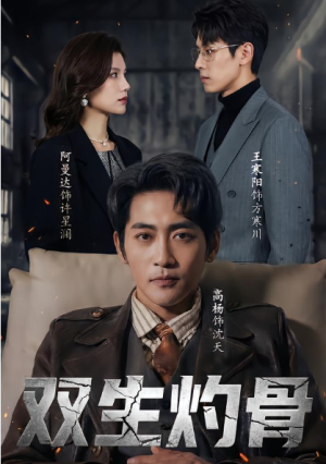 双生灼骨（60集）