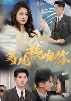 等风热吻你（31集）