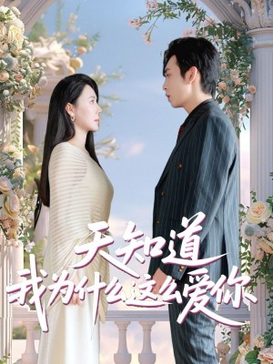 天知道我为什么这么爱你(32集)