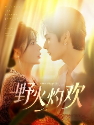 野火灼欢(61集)