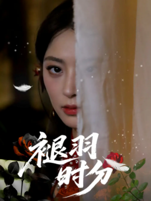 褪羽时分(61集)