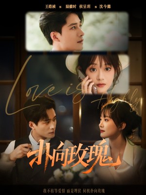 扑向玫瑰(77集)