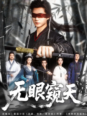 无眼窥天(80集)