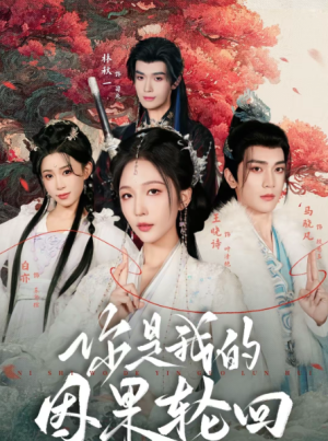 你是我的因果轮回（100集）