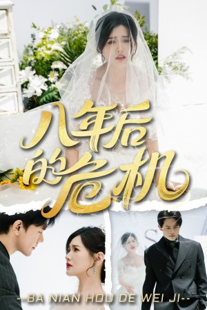 八年后的危机（35集）