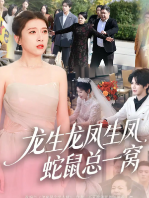 龙生龙凤生凤蛇鼠总一窝（60集）
