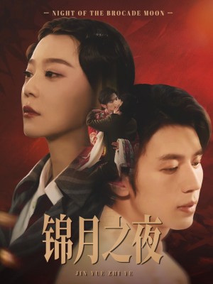 锦月之夜(79集)