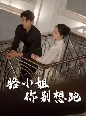 骆小姐你别想跑（30集）