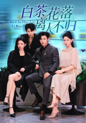 白茶花落离人不归（51集）