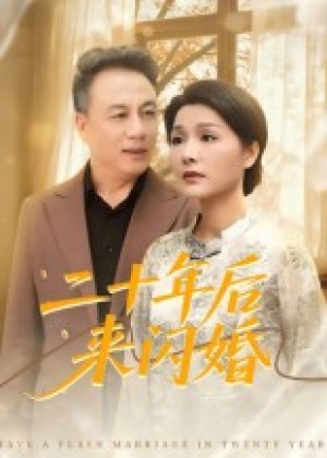 二十年后来闪婚（60集）