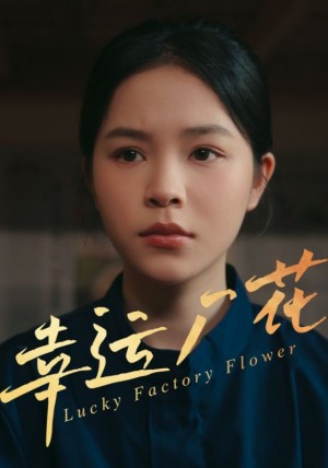 幸运厂花(幸孕厂花)(30集)