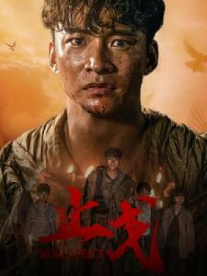 止戈（65集）