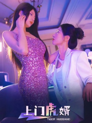 上门虎婿（96集）