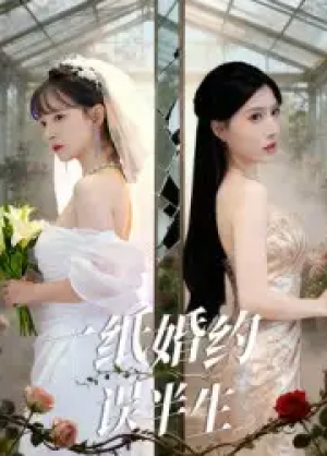 一纸婚约误半生（46集）