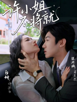 许小姐不将就(60集)