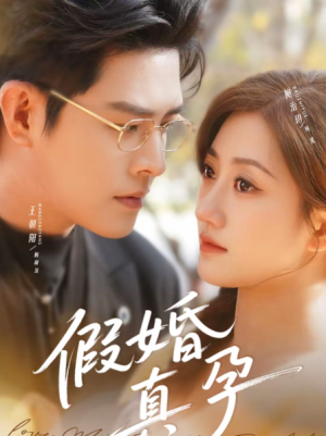 假婚真孕（70集）