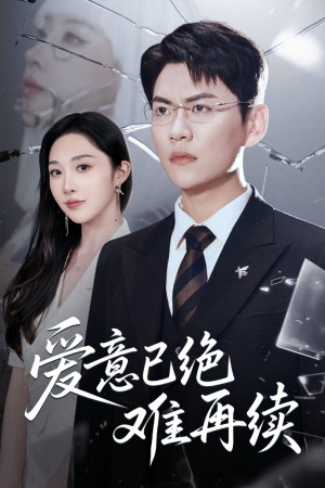 爱意已绝难再续（33集）
