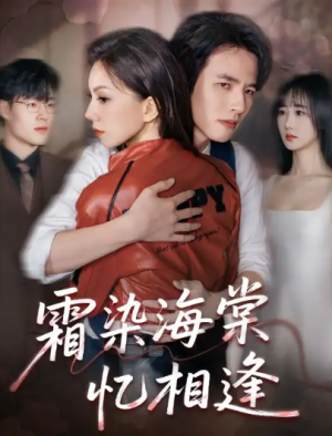 霜染海棠忆相逢（72集）