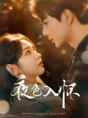 夜色入怀（66集）